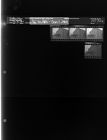 Photos- Tobacco Plant (4 Negatives), December 31 (January 1, 1964) [Sleeve 1, Folder a, Box 32]